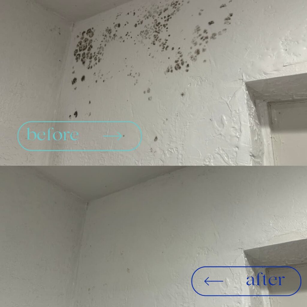 walls with mold versus walls mold-free